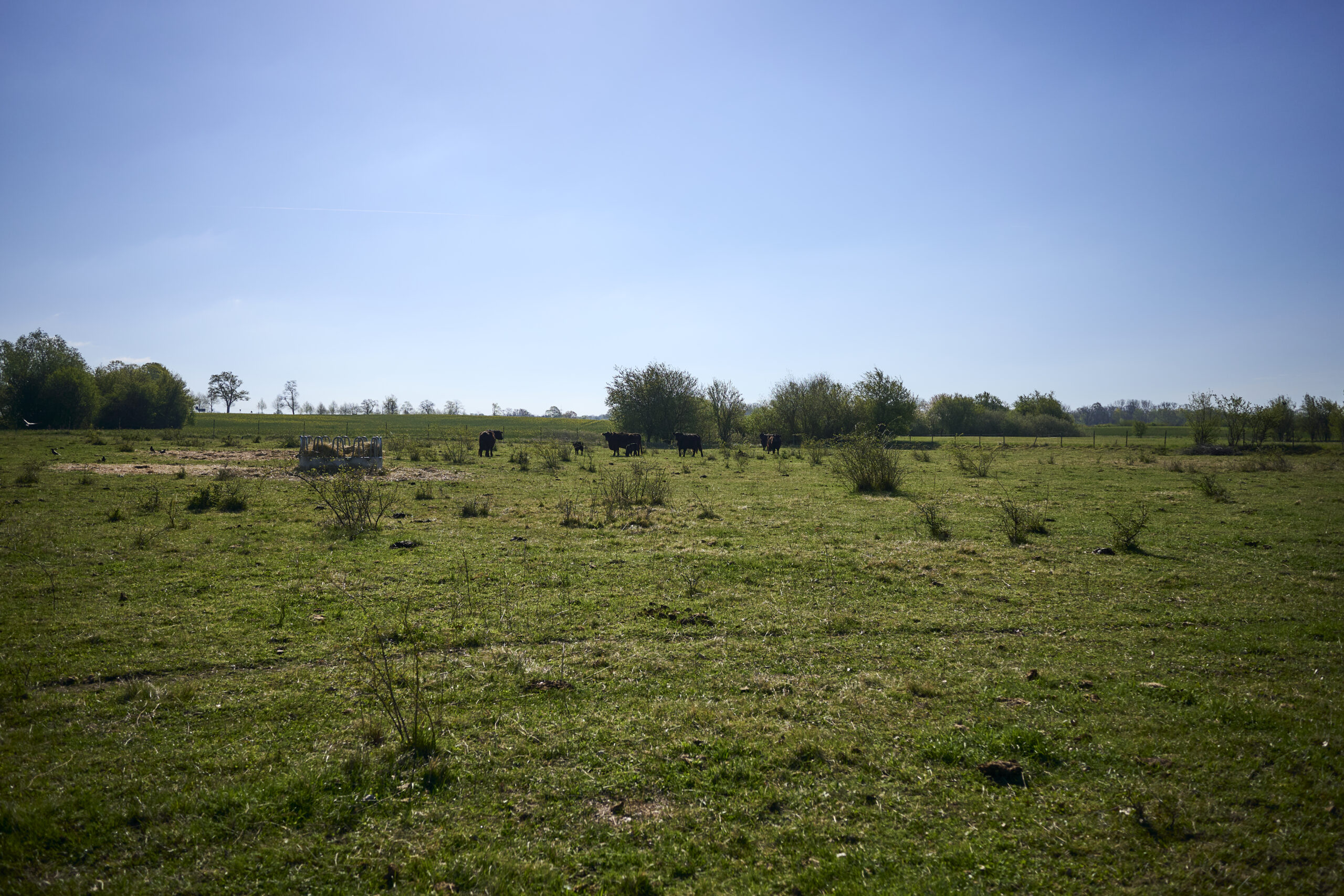 26-04-23_Buergergut-Boernicke_009
