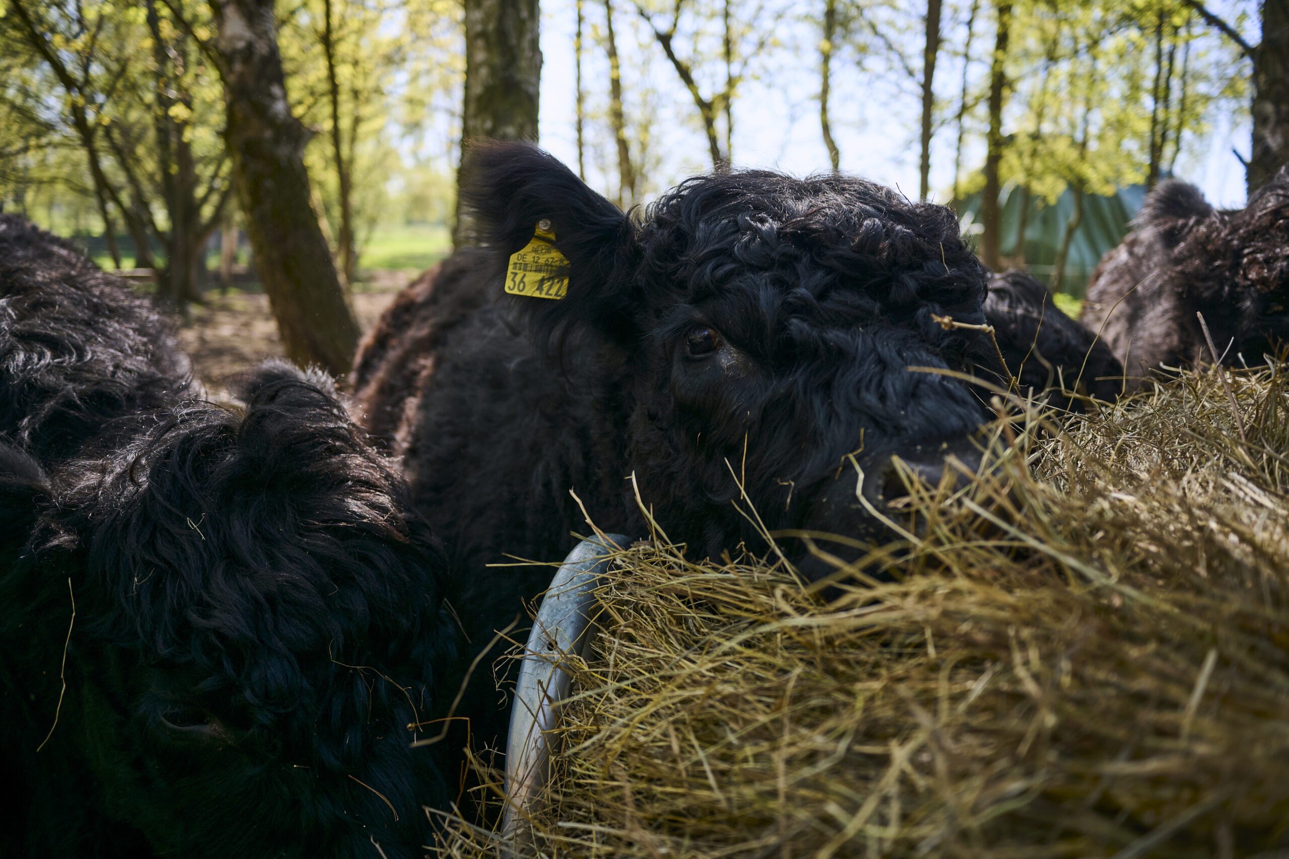 26-04-23_Buergergut-Boernicke_038