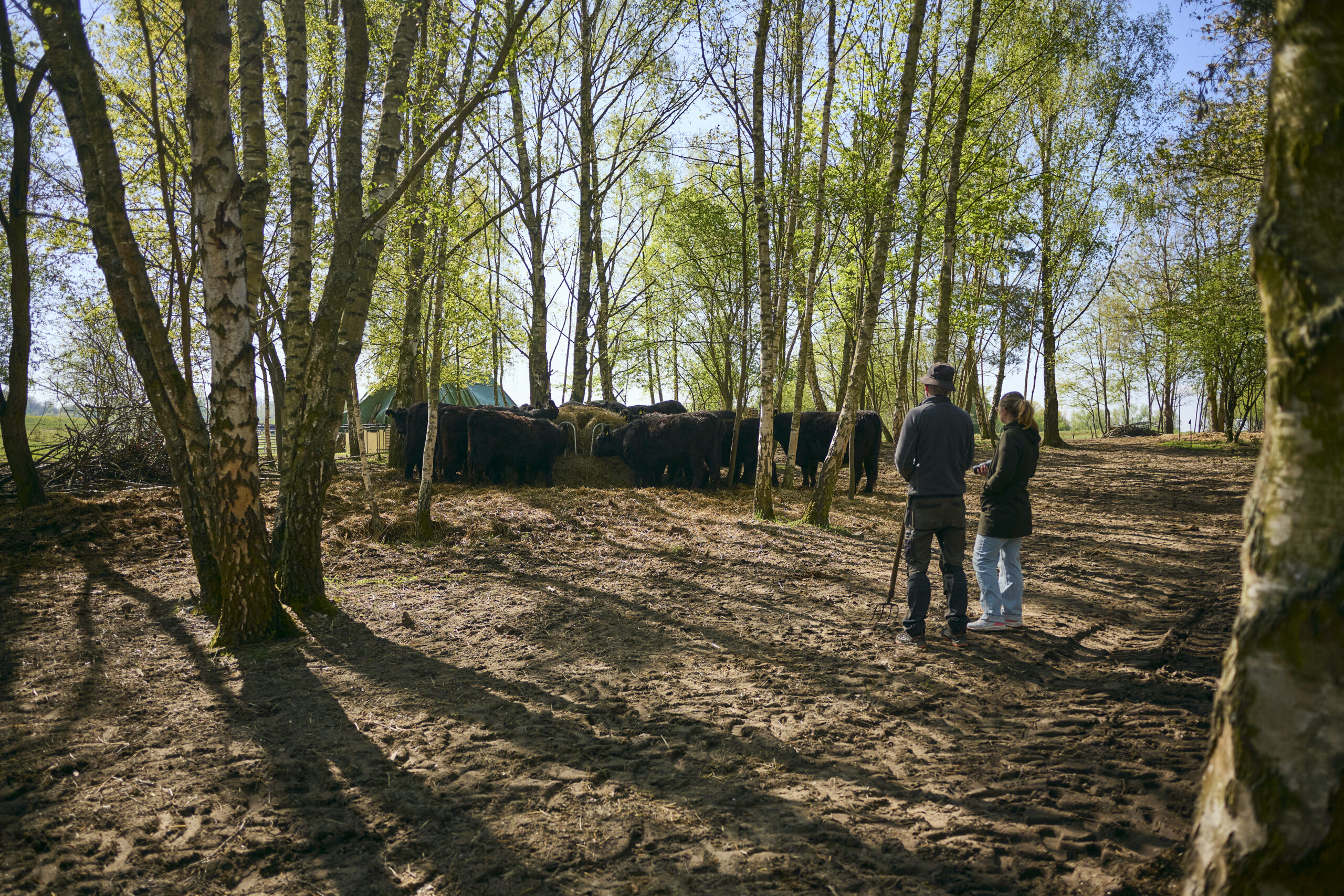 26-04-23_Buergergut-Boernicke_063
